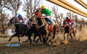 اسبدوانی گنبد - هفته سوم 