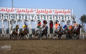 رقابت ۷۴ اسب برای کسب جایزه ۲۴ میلیارد و ۲۲۰ میلیون ریالی