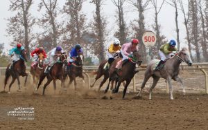 رقابت نفس&zwnj;گیر ۵۸ اسب در آغاز هفته پنجم کورس&zwnj;های اسبدوانی گنبدکاووس