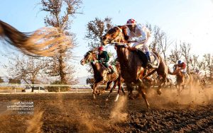 مسابقات اسبدوانی هفته چهارم گنبد