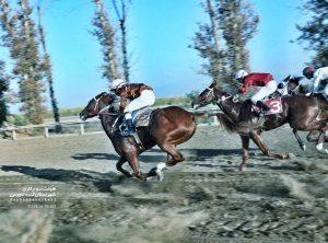 300x222 - رقابت&zwnj;های نفس&zwnj;گیر اسب&zwnj;ها برای کسب جوایز میلیاردی
