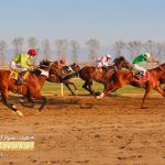 روز دوم هفته یازدهم مسابقات اسبدوانی زمستانه گنبدکاووس برگزار شد+عکس 1 1 150x150 - روز دوم هفته یازدهم مسابقات اسبدوانی زمستانه گنبدکاووس برگزار شد+عکس