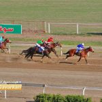 روز دوم هفته یازدهم مسابقات اسبدوانی زمستانه گنبدکاووس برگزار شد+عکس 10 150x150 - روز دوم هفته یازدهم مسابقات اسبدوانی زمستانه گنبدکاووس برگزار شد+عکس