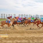 روز دوم هفته یازدهم مسابقات اسبدوانی زمستانه گنبدکاووس برگزار شد+عکس 12 1 150x150 - روز دوم هفته یازدهم مسابقات اسبدوانی زمستانه گنبدکاووس برگزار شد+عکس