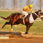 روز دوم هفته یازدهم مسابقات اسبدوانی زمستانه گنبدکاووس برگزار شد+عکس 2 1 150x150 - روز دوم هفته یازدهم مسابقات اسبدوانی زمستانه گنبدکاووس برگزار شد+عکس