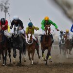 24 1 150x150 - گزارش تصویری روز سوم هفته سوم مسابقات اسبدوانی پاییز ۱۴۰۴ گنبدکاووس