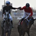 25 1 150x150 - گزارش تصویری روز سوم هفته سوم مسابقات اسبدوانی پاییز ۱۴۰۴ گنبدکاووس