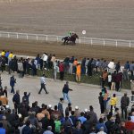 39 150x150 - گزارش تصویری روز سوم هفته سوم مسابقات اسبدوانی پاییز ۱۴۰۴ گنبدکاووس