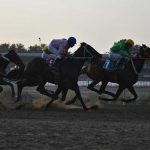 41 150x150 - گزارش تصویری روز سوم هفته سوم مسابقات اسبدوانی پاییز ۱۴۰۴ گنبدکاووس