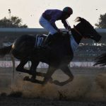 42 150x150 - گزارش تصویری روز سوم هفته سوم مسابقات اسبدوانی پاییز ۱۴۰۴ گنبدکاووس