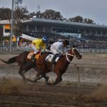 43 150x150 - گزارش تصویری روز سوم هفته سوم مسابقات اسبدوانی پاییز ۱۴۰۴ گنبدکاووس