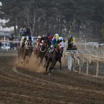 44 150x150 - گزارش تصویری روز سوم هفته سوم مسابقات اسبدوانی پاییز ۱۴۰۴ گنبدکاووس