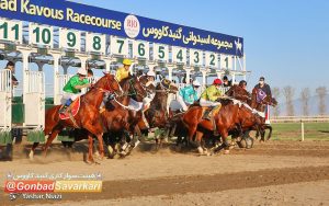 6 1 300x188 - روز دوم هفته یازدهم مسابقات اسبدوانی زمستانه گنبدکاووس برگزار شد+عکس