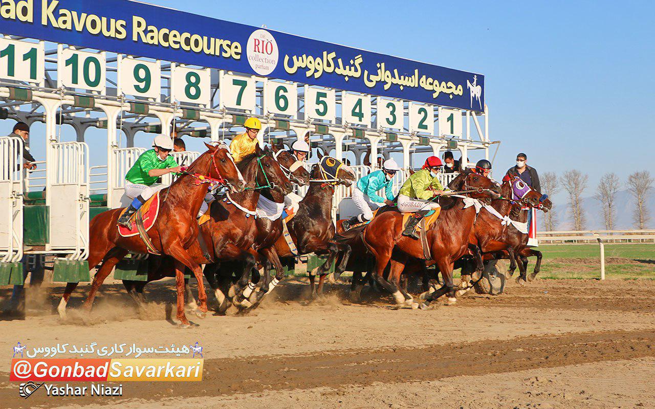 روز دوم هفته یازدهم مسابقات اسبدوانی زمستانه گنبدکاووس برگزار شد+عکس