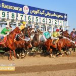 روز دوم هفته یازدهم مسابقات اسبدوانی زمستانه گنبدکاووس برگزار شد+عکس 6 2 150x150 - روز دوم هفته یازدهم مسابقات اسبدوانی زمستانه گنبدکاووس برگزار شد+عکس