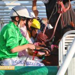 روز دوم هفته یازدهم مسابقات اسبدوانی زمستانه گنبدکاووس برگزار شد+عکس 7 1 150x150 - روز دوم هفته یازدهم مسابقات اسبدوانی زمستانه گنبدکاووس برگزار شد+عکس