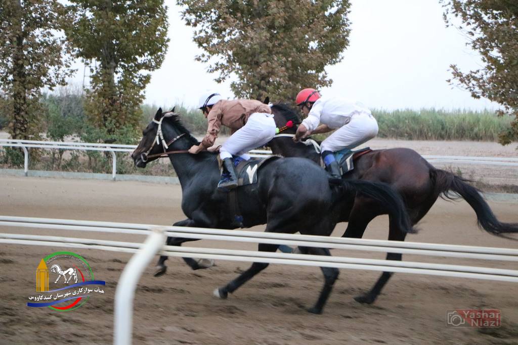 IMG 4150 - هفته هفتم کورس بهاره - ۷ اردیبهشت ۱۳۹۷