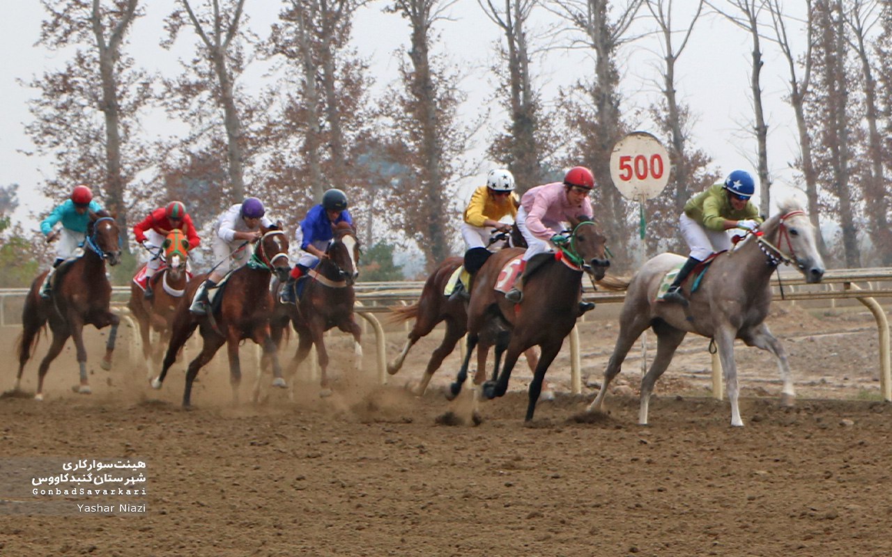 رقابت ۷۴ اسب برای کسب جایزه ۲۴ میلیارد و ۲۲۰ میلیون ریالی
