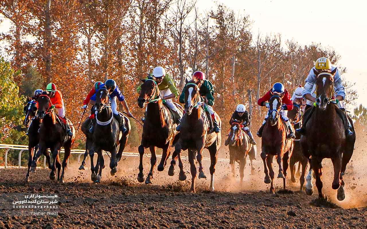 رقابت ۷۴ اسب برای کسب جایزه ۲۴ میلیارد و ۲۲۰ میلیون ریالی