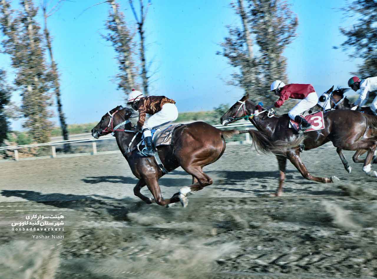 رقابت‌های نفس‌گیر اسب‌ها برای کسب جوایز میلیاردی